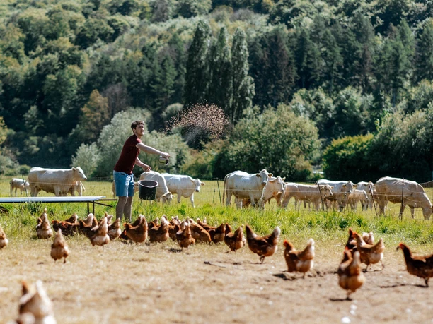 Echt!-Anbieter: Hof Ilmeaue