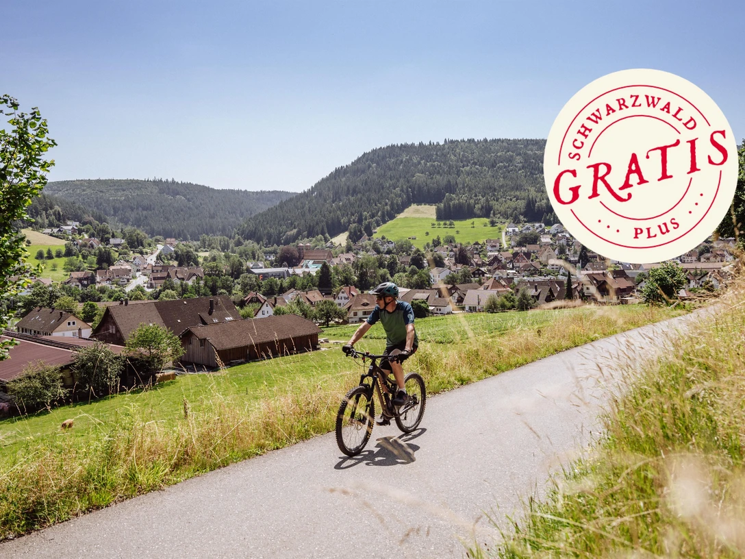 Mountainbike und Gartenschau