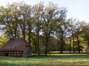 Alte Scheune auf der Wiese