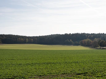 Felder und Wälder entlang des Elbe-Katemin-Wegs