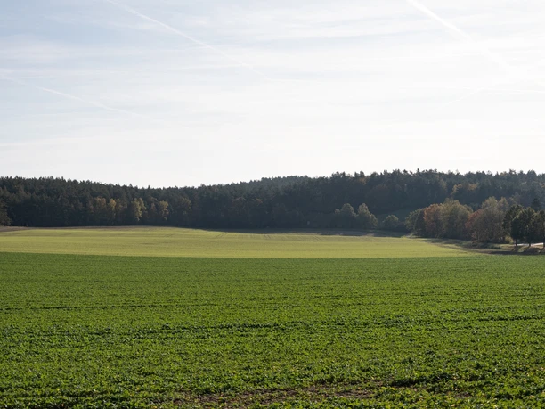 Felder und Wälder entlang des Elbe-Katemin-Wegs