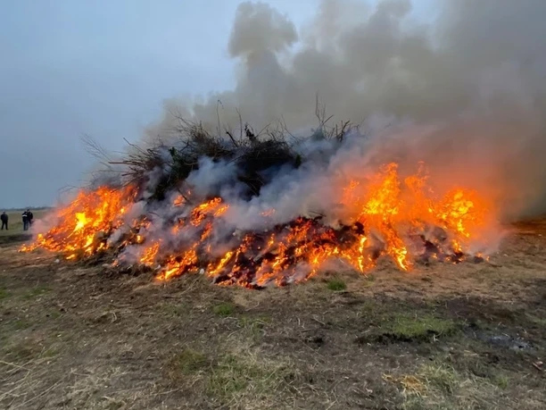 Osterfeuer Eckwarden Bild.jpeg