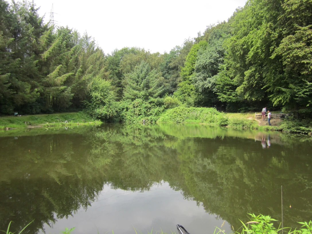 Angelteich auf dem Forellenhof Bieker, Velbert Ein stiller Angelteich umgeben von üppigem Grün und Bäumen im Forellenhof Bieker, Velbert.