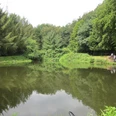 Angelteich auf dem Forellenhof Bieker, Velbert Ein stiller Angelteich umgeben von üppigem Grün und Bäumen im Forellenhof Bieker, Velbert.