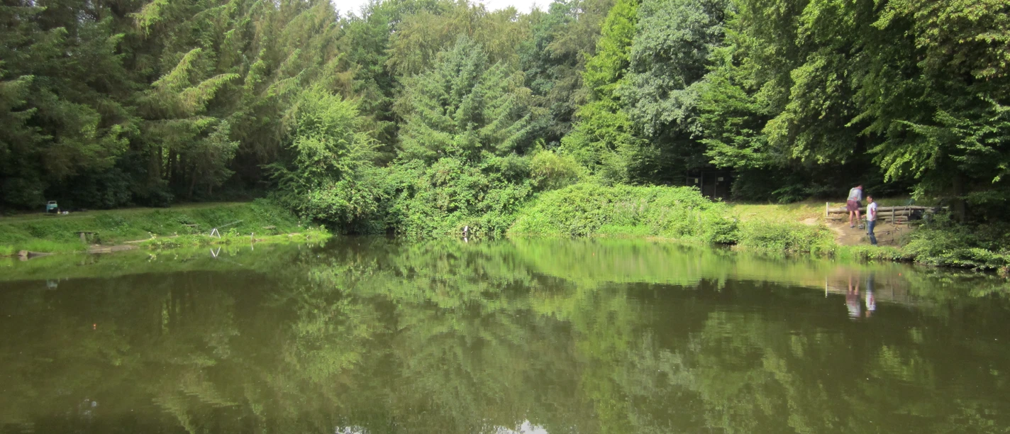Angelteich auf dem Forellenhof Bieker, Velbert Ein stiller Angelteich umgeben von üppigem Grün und Bäumen im Forellenhof Bieker, Velbert.