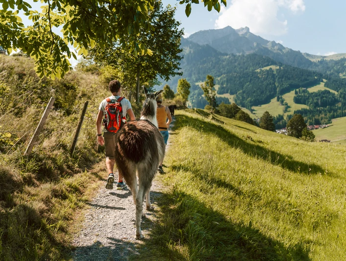 Lama-Trekking
