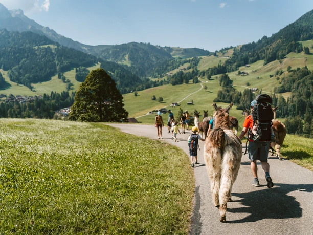 Lama-Trekking