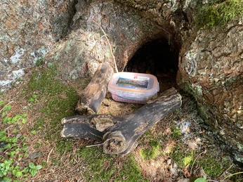 Geocaching_Entlebucher-Geocoin4 (17).JPEG