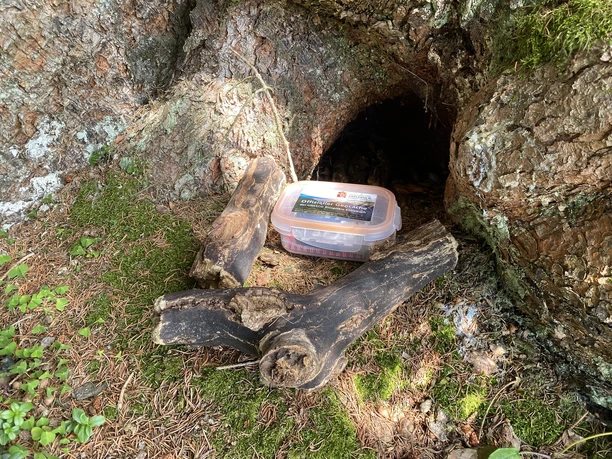 Geocaching_Entlebucher-Geocoin4 (17).JPEG