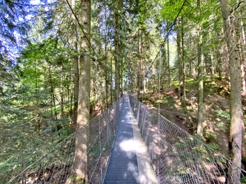 Geocaching_Entlebucher-Geocoin4 (6).JPEG