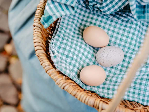 Eierkörbchen