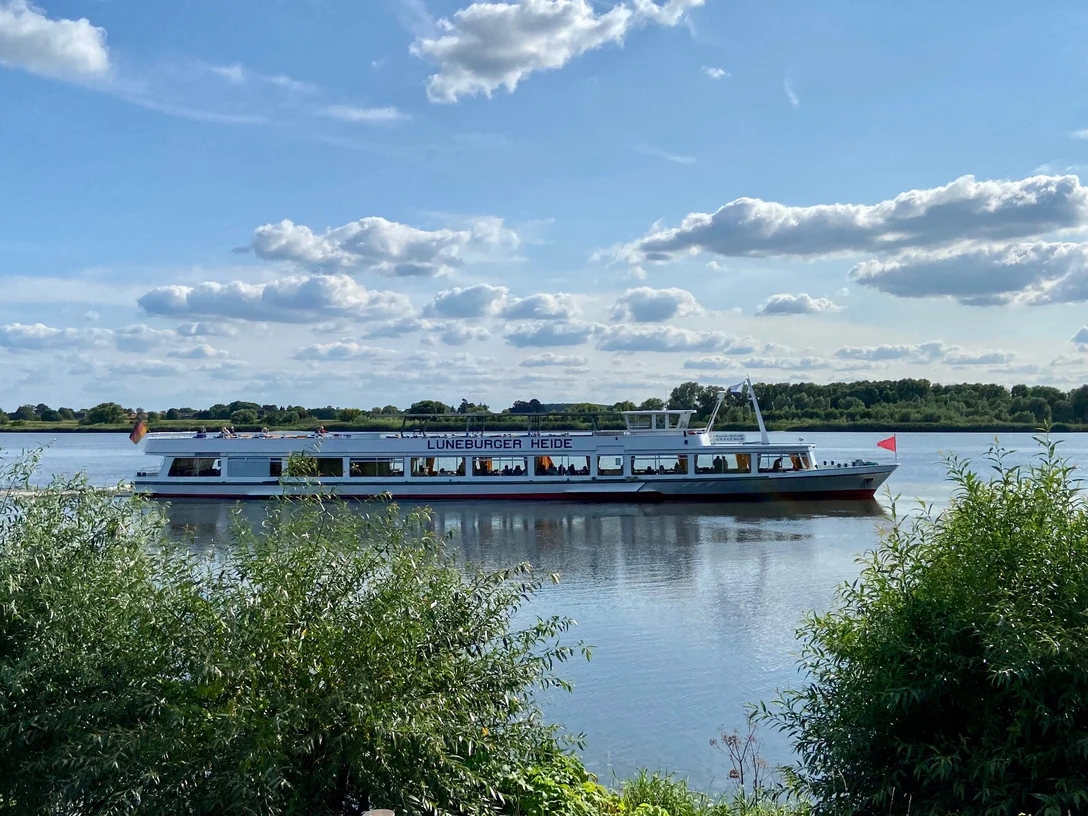 Lüneburger Heide auf Elbe