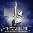 Eine Ballerina in klassischer Pose, umgeben von märchenhaftem Bühnenhintergrund. Text: "Schwanensee".