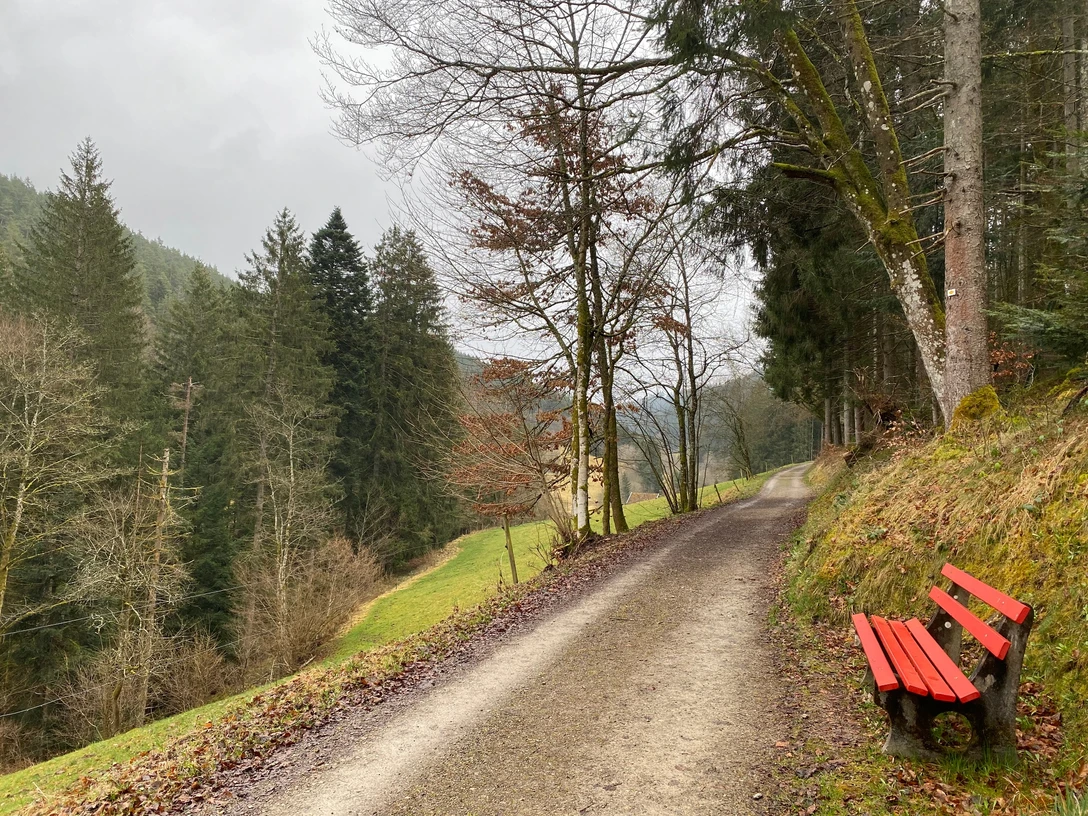 Sitzbank im Reichenbachtal
