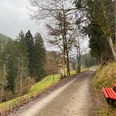 Sitzbank im Reichenbachtal