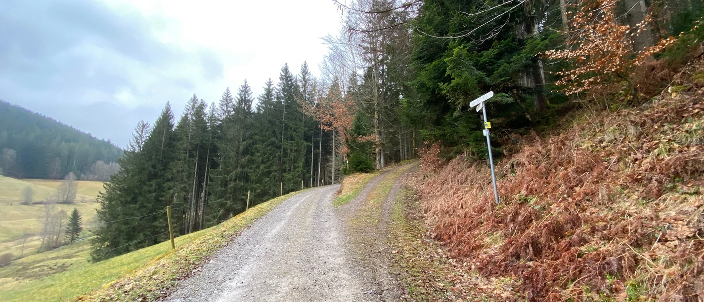 Wegweiser Standort "Scheidgrundpfad"