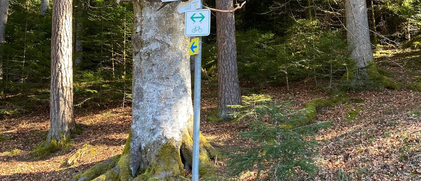 Wegweiser Standort "Alter Wald"