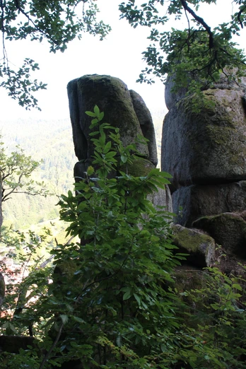 Am Eulenfelsen