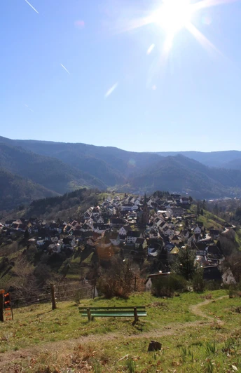 Blick auf Bermersbach vom Höfelskopf