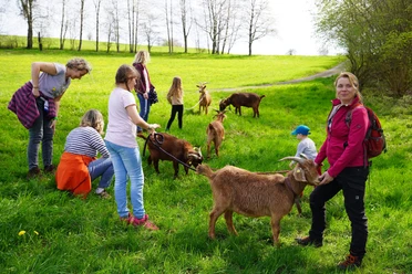 Bock auf Ziegenwanderung