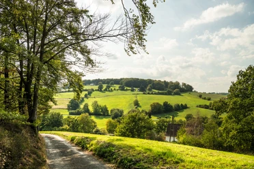 Felderbachtal in der Elfringhauser Schweiz Landschaft im Felderbachtal mit grünen Hügeln und Wald, ein Weg führt in die ländliche Umgebung.