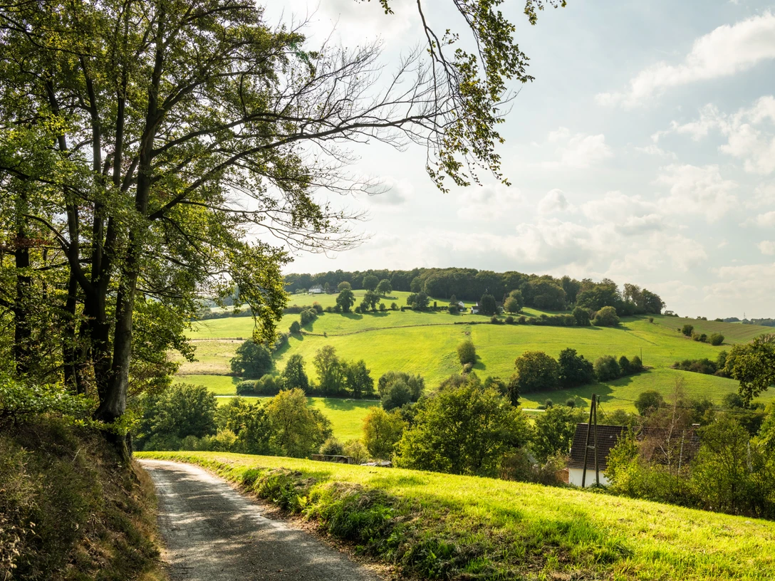 Felderbachtal in der Elfringhauser Schweiz Landschaft im Felderbachtal mit grünen Hügeln und Wald, ein Weg führt in die ländliche Umgebung.