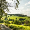 Felderbachtal in der Elfringhauser Schweiz Landschaft im Felderbachtal mit grünen Hügeln und Wald, ein Weg führt in die ländliche Umgebung.