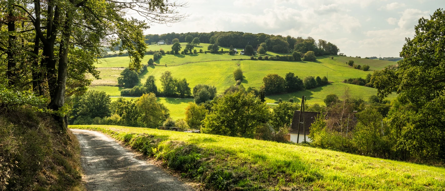 Felderbachtal in der Elfringhauser Schweiz Landschaft im Felderbachtal mit grünen Hügeln und Wald, ein Weg führt in die ländliche Umgebung.