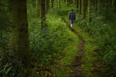 Groenebacher Dorfpfad