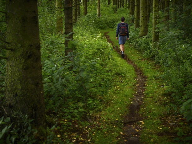 Groenebacher Dorfpfad