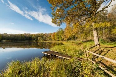 Vulkamaar-Pfad: Windsborn-Kratersee
