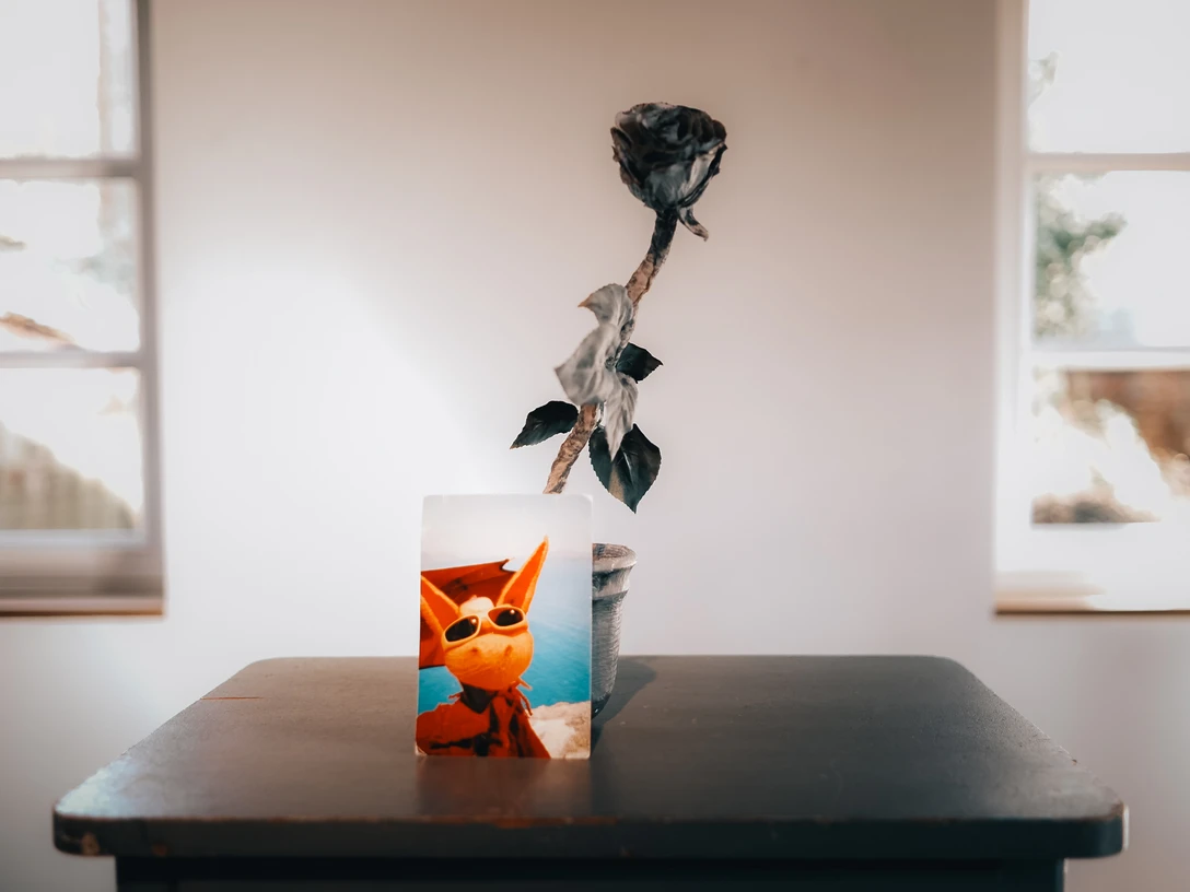 Die Muschellauscherin von Patrick Senner Die Muschellauscherin von Patrick Senner