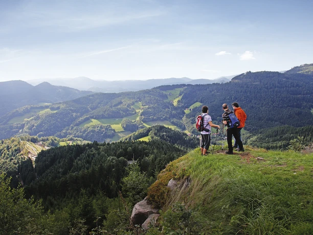 Panoramaausblick auf dem Bauernkopf, über Bad Peterstal-Griesbach