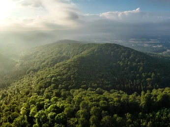 Panoramabild Lage Hörster Egge Teutoburger Wald