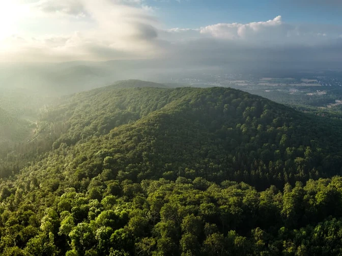 Panoramabild Lage Hörster Egge Teutoburger Wald