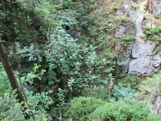 Alte Eisenbahn.JPG Dichter Wald mit üppigem Grün umgibt steile Felswände in einer felsigen Schlucht mit Moosbewuchs.