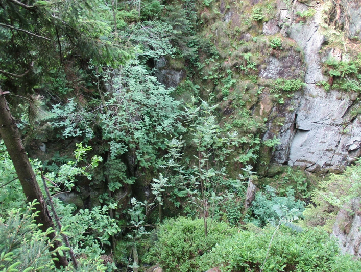 Oude spoorweg.JPG Dichter Wald mit üppigem Grün umgibt steile Felswände in einer felsigen Schlucht mit Moosbewuchs.
