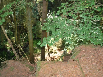 Alte Eisenbahn1_Juli2019.jpg Blick von oben auf einen bewaldeten Abhang mit Bäumen und Sträuchern, Sonnenlicht fällt streifig ein.