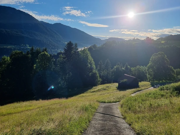 Über die Schönau auf den Eckbauer Sonniger Bergblick mit Wiesenweg, Bäumen und einer kleinen Hütte im Gegenlicht