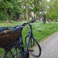 WF-Alter-Friedhof.jpg Ein Fahrrad ist an einer Wiese mit historischen Grabsteinen geparkt.