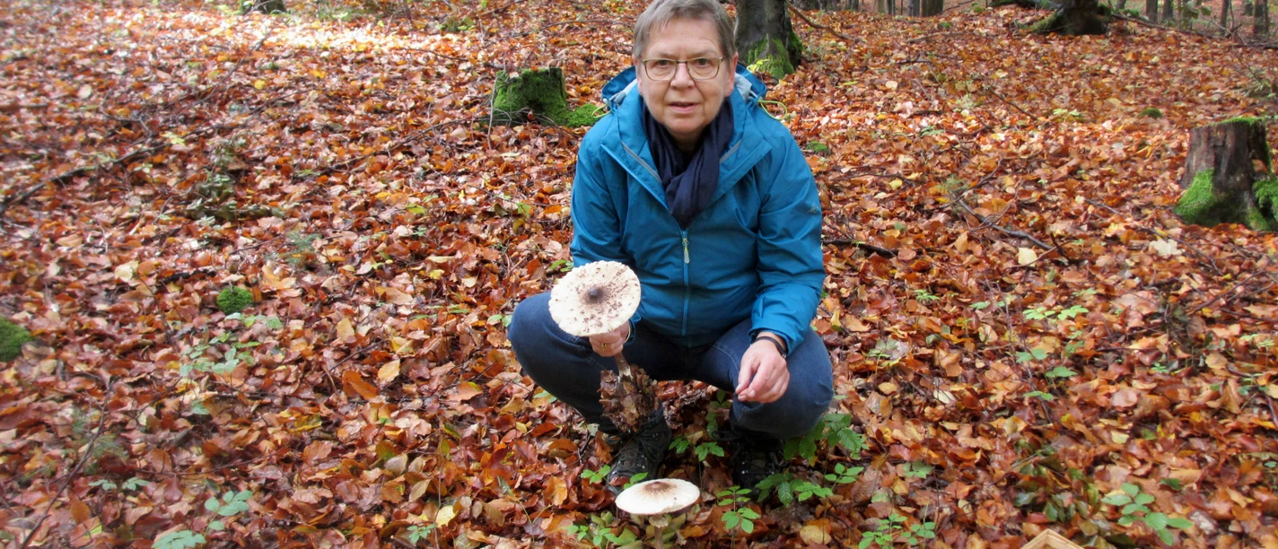 Ulrike Öhler bei einer Pilzführung Ulrike Öhler bei einer Pilzführung
