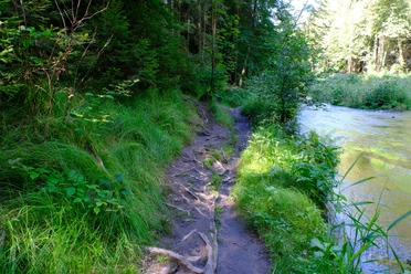 Entlang der Kirnitzsch