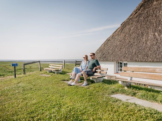 Nordfriesland_Reußenköge_MR_230618_604 Hallig Krog