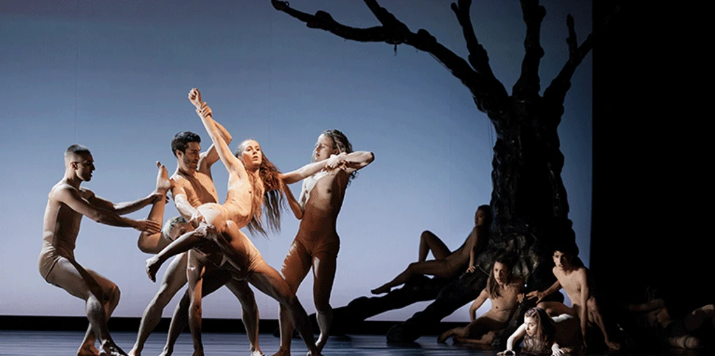 Tanzensemble in expressiver Pose auf Bühne vor karger Baumskulptur.