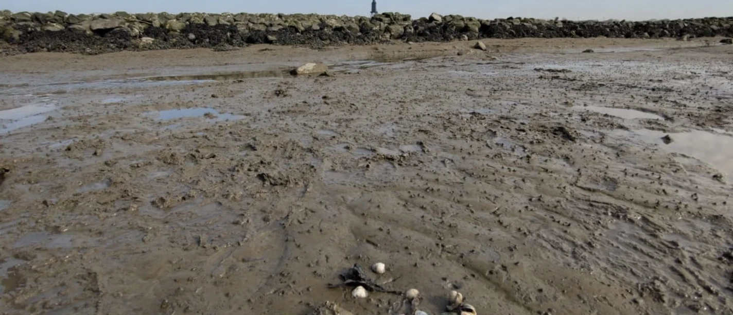 Wattenmeer im Wandel WNK Wattenmeer im Wandel WNK