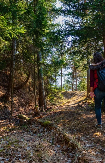 Termen - Gmeini Egga - Ried-Brig