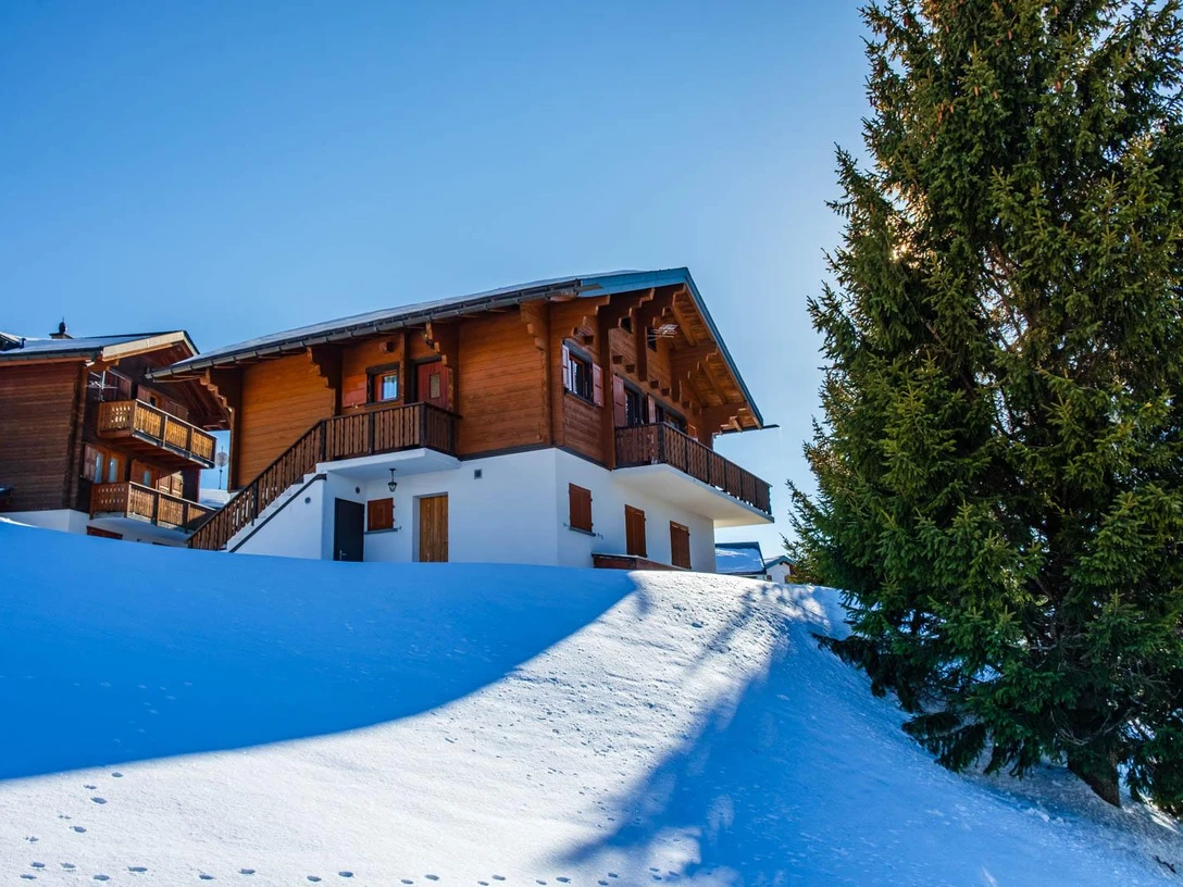 Route Baumwipfelpfad Rosswald_04. Februar 2022