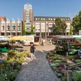 Wochenmarkt vor dem Rathaus Wochenmarkt vor dem Rathaus