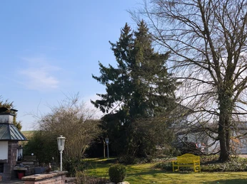 Ausblick.jpg Gartenbereich mit gelber Bank, verschiedenen Bäumen und grünem Rasen unter klarem, blauem Himmel.