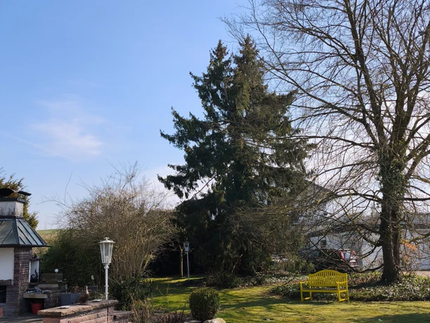 Ausblick.jpg Gartenbereich mit gelber Bank, verschiedenen Bäumen und grünem Rasen unter klarem, blauem Himmel.